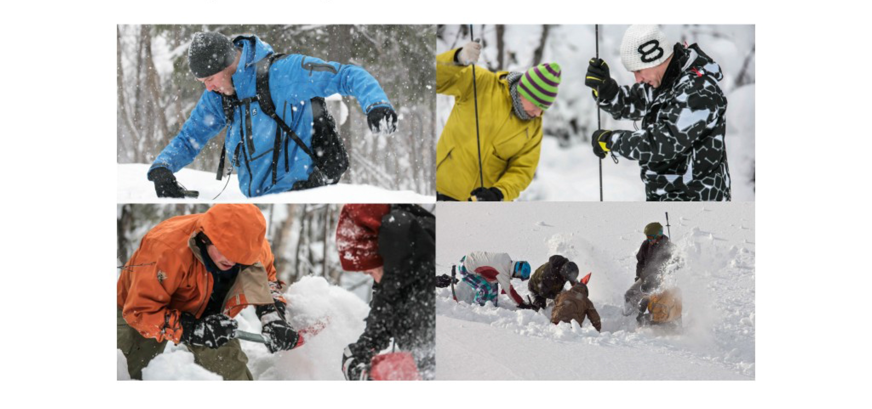тренировка по поиску на лавине
